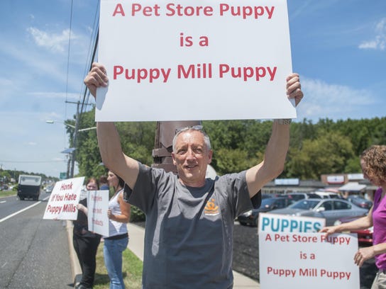 puppy protest
