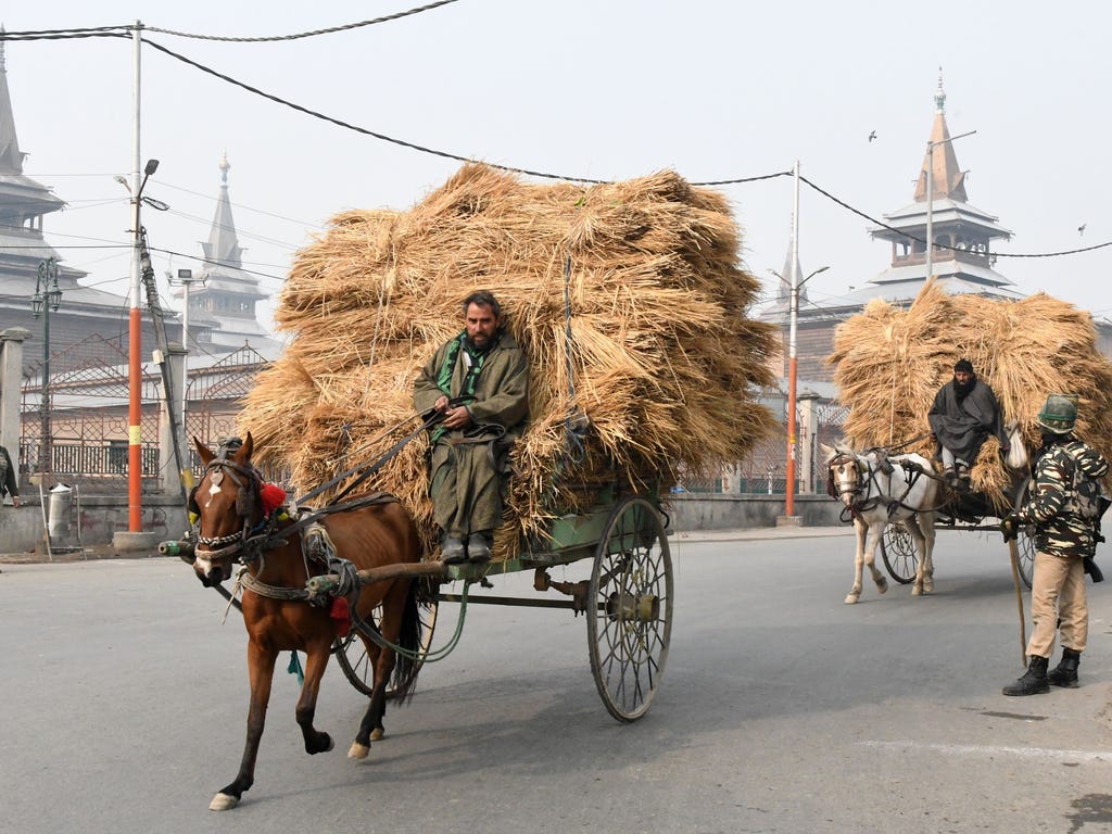 Indian paramilitary troopers stands guard in front of the grand mosque Jami Masjid while Kashmiri muslims rides a horse cart during a one-day strike called by Kashmiri separatist in downtown Srinagar.