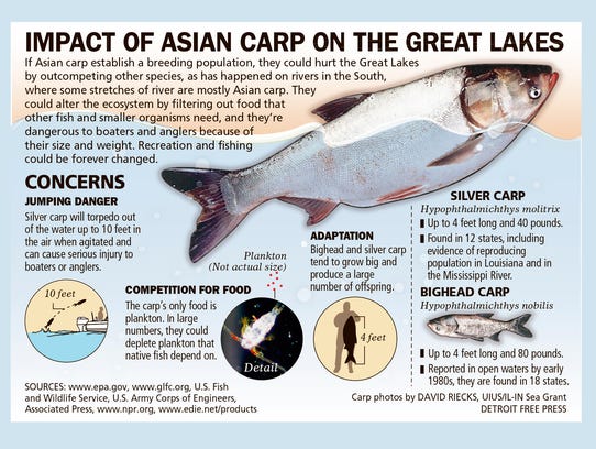 Asian carp threat to great lakes