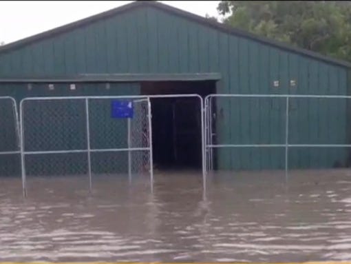 Animal shelter flooded in El Campo, Texas