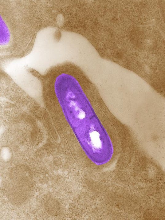 Listeria: Jeni's ice cream company recalls all products Listeria: Jeni's ice cream company recalls all products