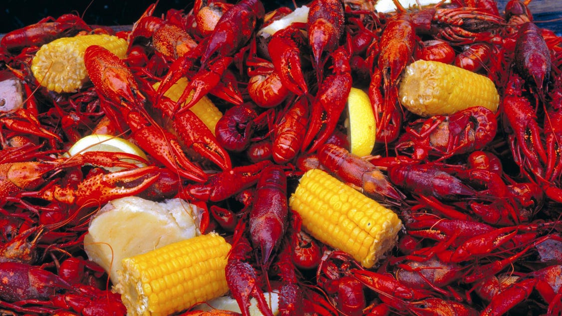 Crawfish season promising