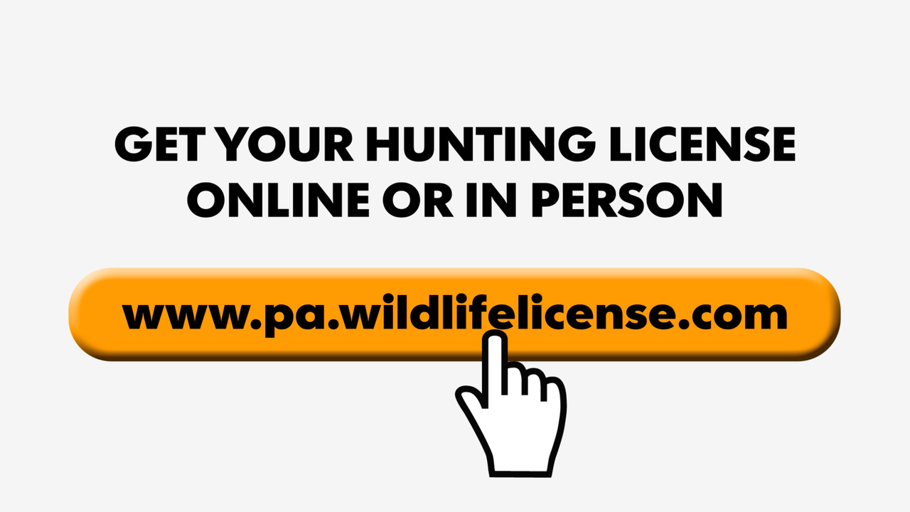 Pa. gun laws Criminals who can't have guns can get hunting licenses