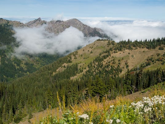 1395754758008-8-olympicwilderness-flickr-dolanh.jpg