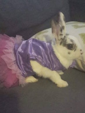 Bethany the Princess: Little Bethany (named after Bethany Beach) modeling her older sister's dress.