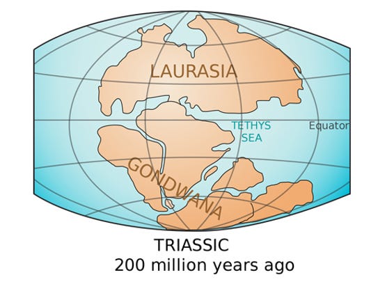 Gondwana era un super-continente che esisteva più di