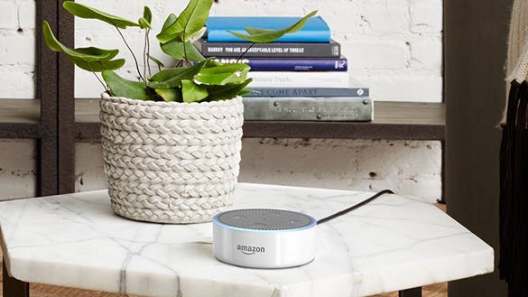 The Echo Dot is an absolute steal with these bundles.