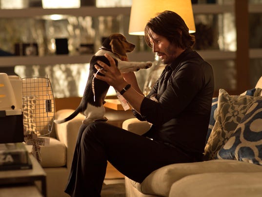 Resultado de imagem para john wick and daisy