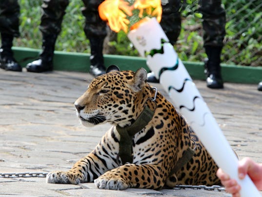 2016-6-21-jaguar