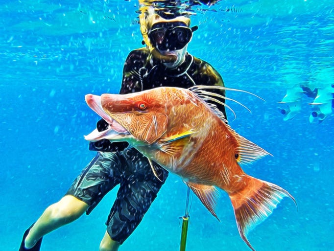 Spectacular fish caught in the Bahamas