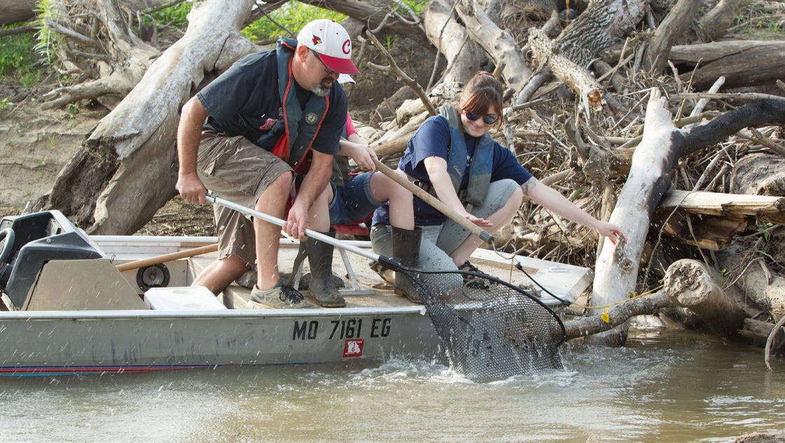 The story behind trotlines