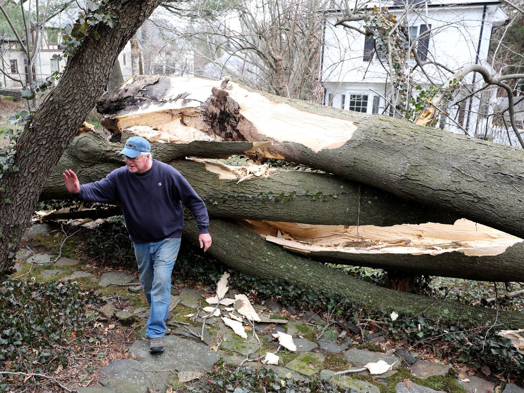 Chris Moroney surveys the large split tree near his home in Yonkers, N.Y. on March 3, 2018, that came down during the nor'easter. 