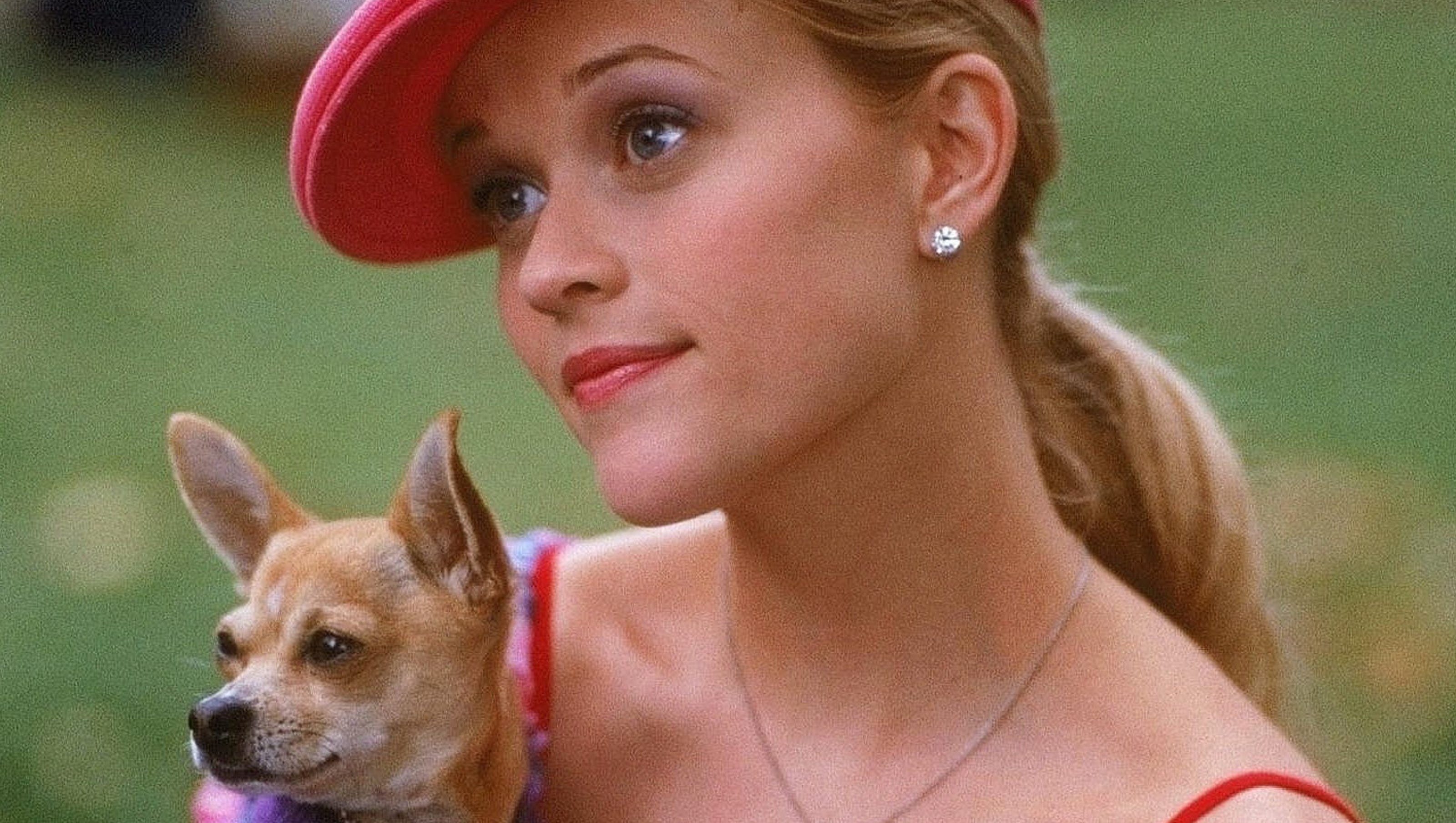 Women Channel Their Inner Elle Woods On Legally Blonde S 15th Anniversary