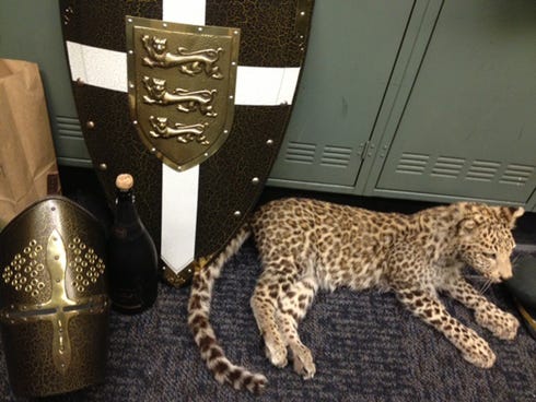 Authorities recovered items including armor, shields and a stuffed snow leopard worth $250,000 from a huge haul of high-end swag that thieves snagged during a party at an empty mansion,
