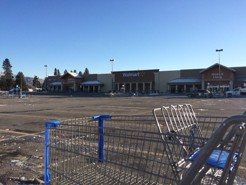 Toddler reaches into purse and gun goes off, killing mom