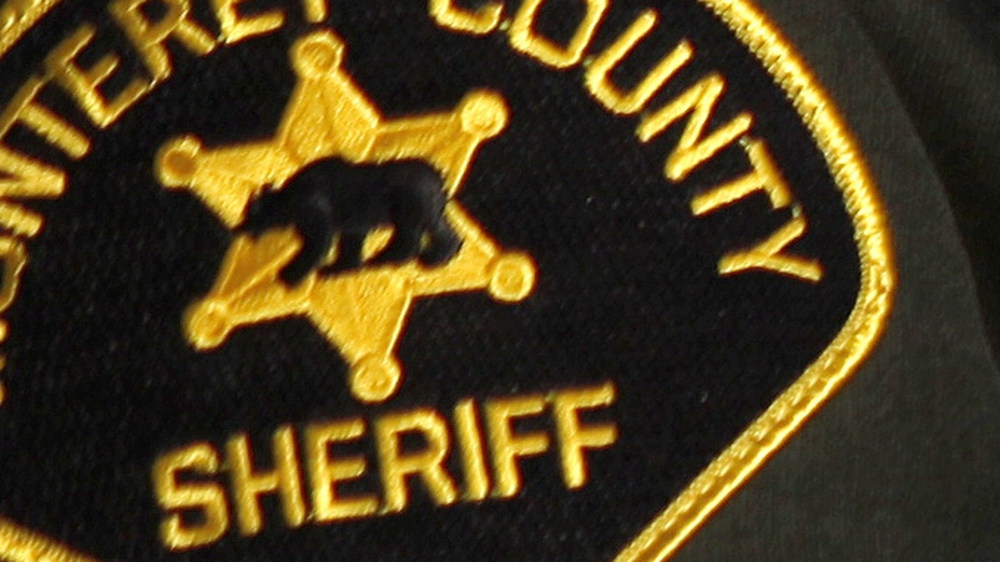 Sheriff's Log: Blunt force trauma to head - The Salinas Californian