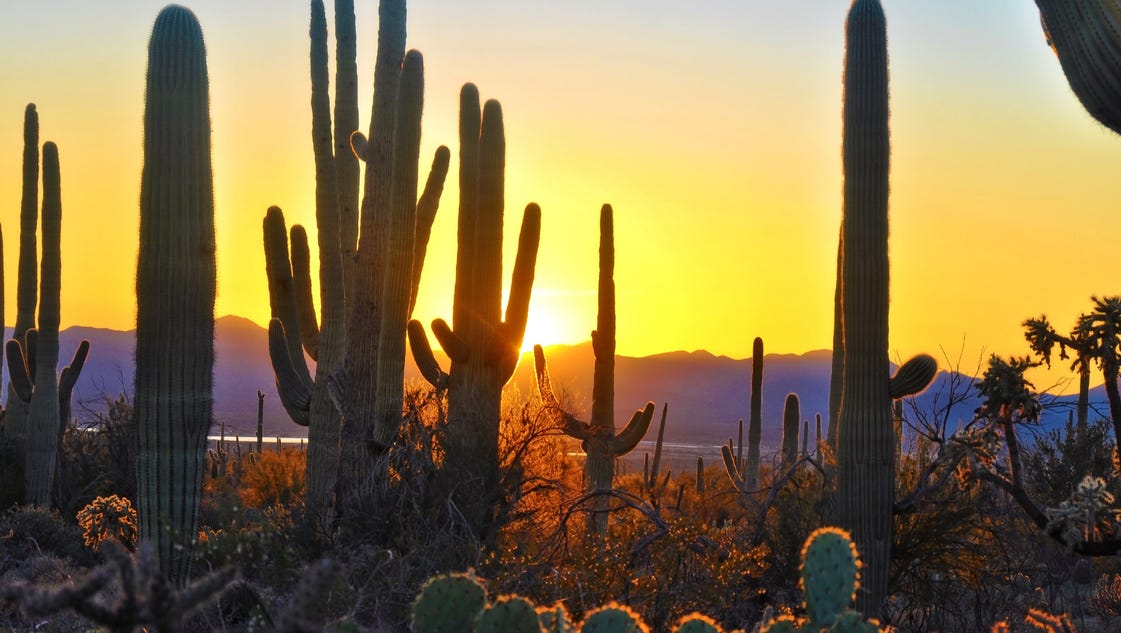 39 things only Arizonans know