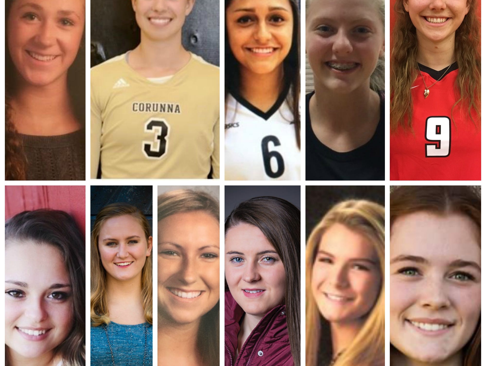 Meet the 2016 LSJ girls high school volleyball Dream Team.