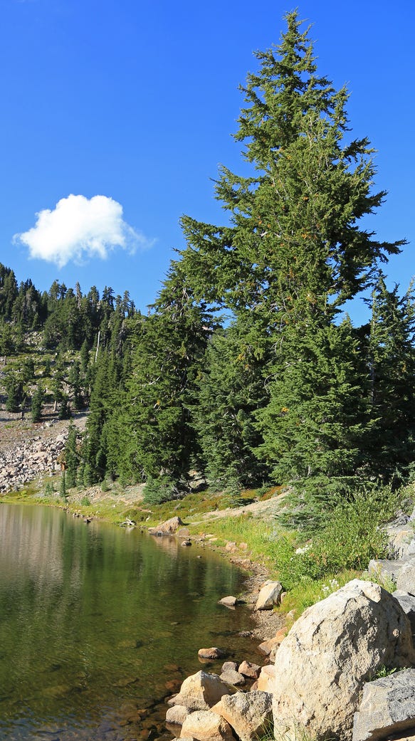 Trees reflect in Emerald Lake at Lassen Volcanic National