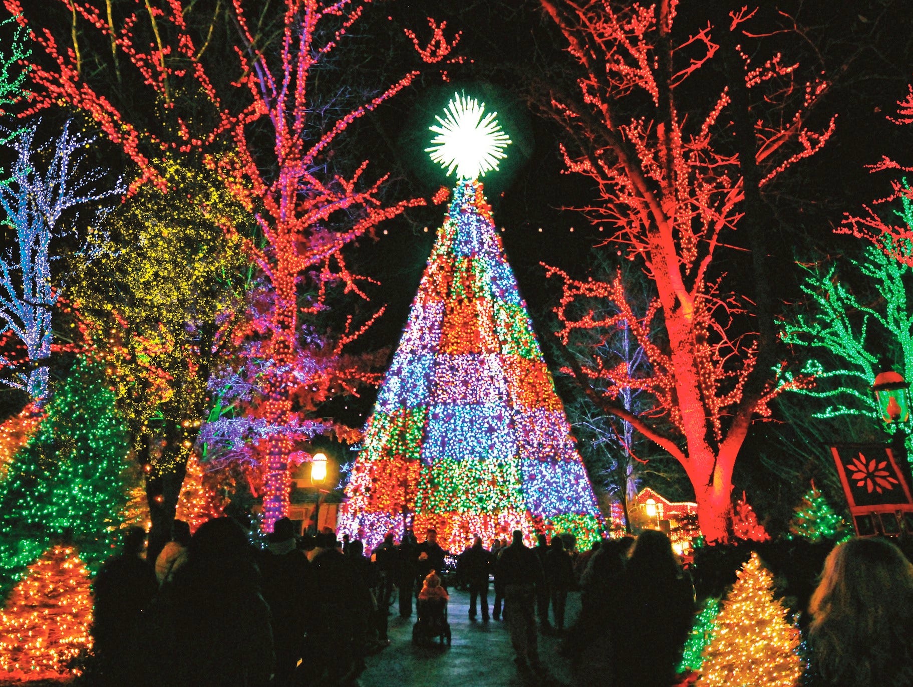 You have until noon on Dec. 15 to vote for your favorite public holiday lights display.