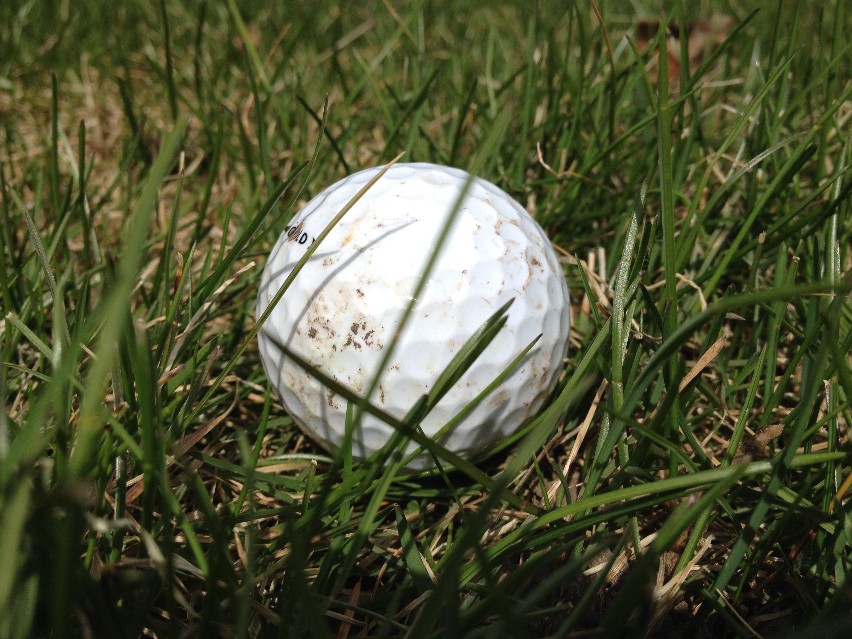 Just five points separated the top three team’s at Wednesday’s Olympian Conference boys golf championship, but it was Roncalli which came away with the crown.