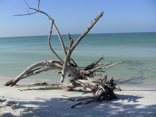 Cayo Costa State Park is a pristine, secluded island