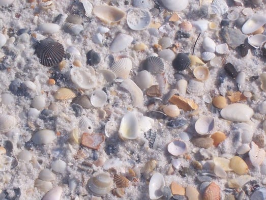 The Best Beachcombing Beaches Around The Usa