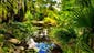 Mounts Botanical Gardens screams green in West Palm