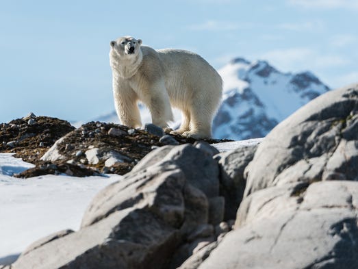 Svalbard, Norway: With Iceland now increasingly attracting
