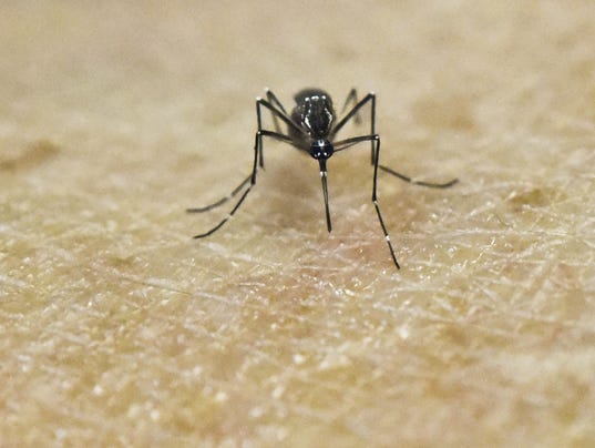 Zika virus found in Arizona