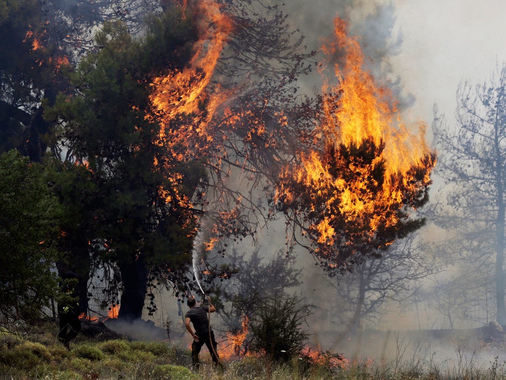 A volunteer tries to extinguish a burning tree near Kapandriti north of Athens. A large wildfire north of Athens is threatening homes as it sweeps through pine forest for a third day.