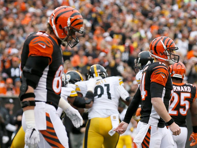 Cincinnati Bengals quarterback Andy Dalton (14) walks
