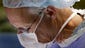 Transplant surgeon Christopher Johnson performs a kidney