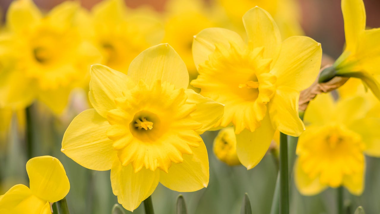 When is the first day of spring in 2024? Vernal equinox explained.
