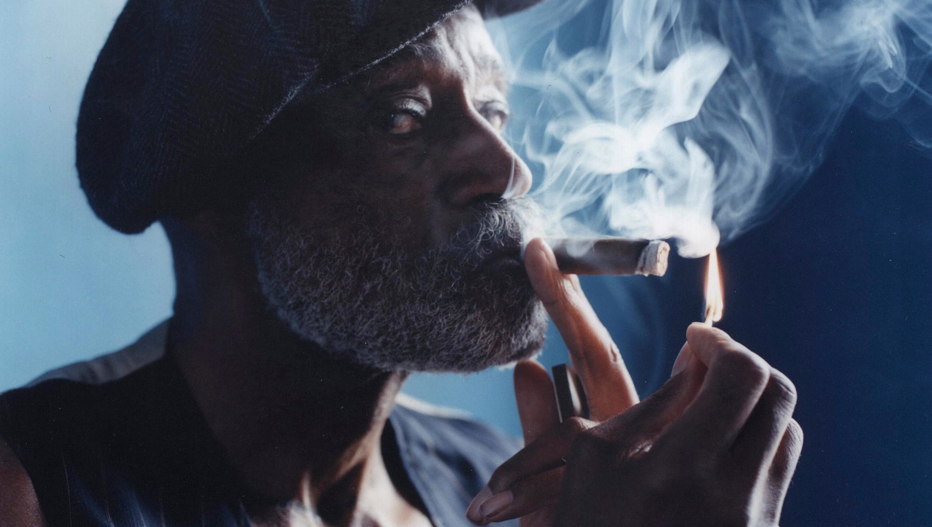 Melvin Van Peebles - The Melvin Van Peebles Collection Melvin Van Peebles - The Melvin Van Peebles Collection