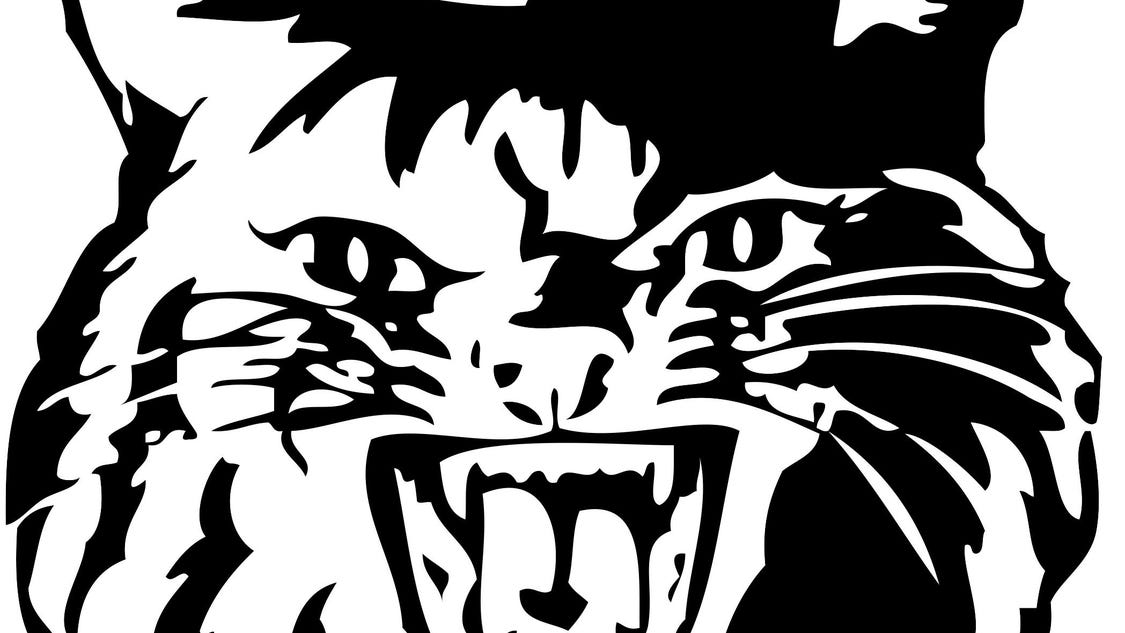 Newark sets middle school softball tryouts - The Newark Advocate