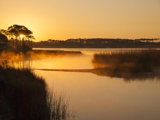 Top 7 Beaches Near Tallahassee