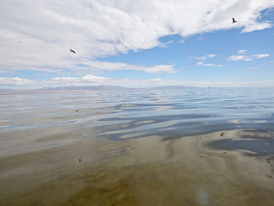 Birds fly over the Salton Sea, near the shoreline.