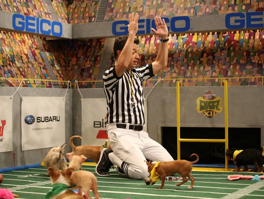 Image result for puppy bowl half time show