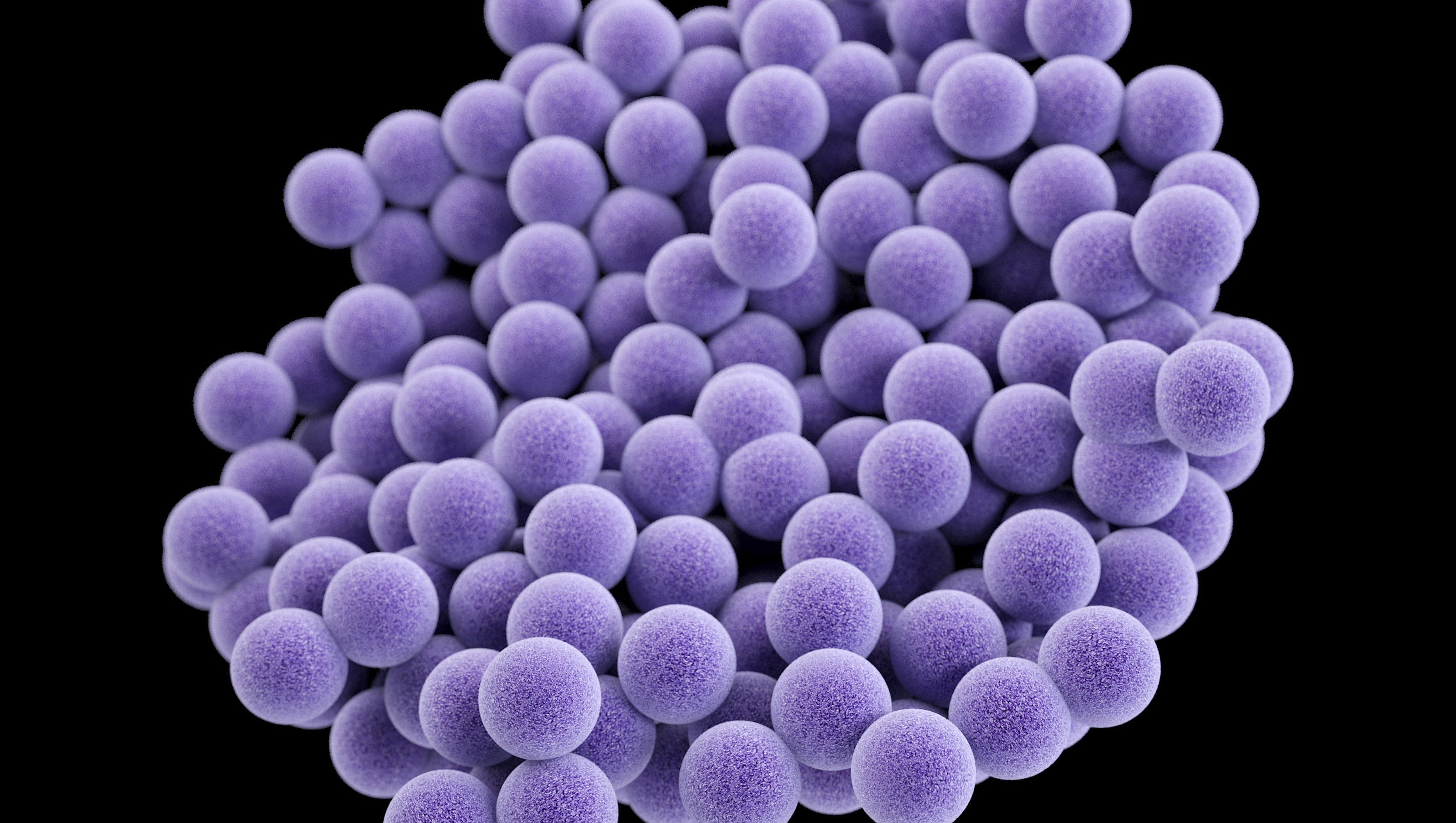 Scientists discover potentially powerful antibiotic