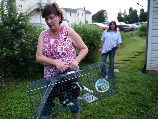 Annette Cooper carries a caged cat to her car after