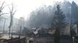 The Alamo restaurant after wildfires mixed with high