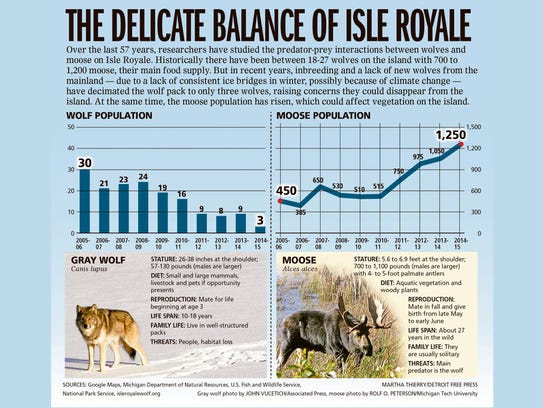 The delicate balance of Isle Royale