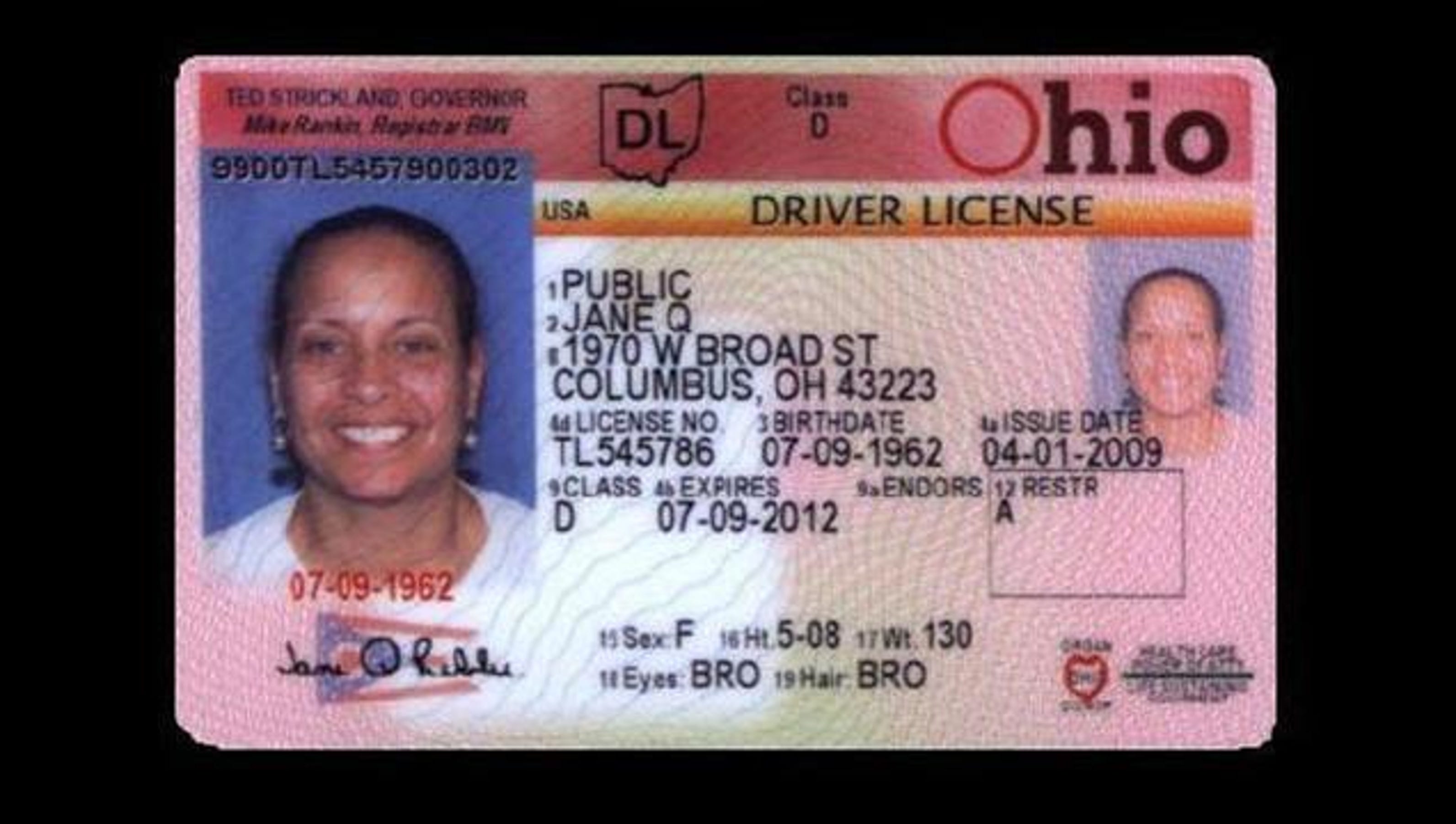 Free Ohio Drivers License Template sierralasopa