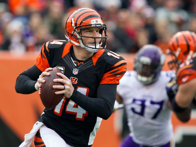 Cincinnati Bengals quarterback Andy Dalton scans the field against the Minnesota Vikings at Paul Brown Stadium.