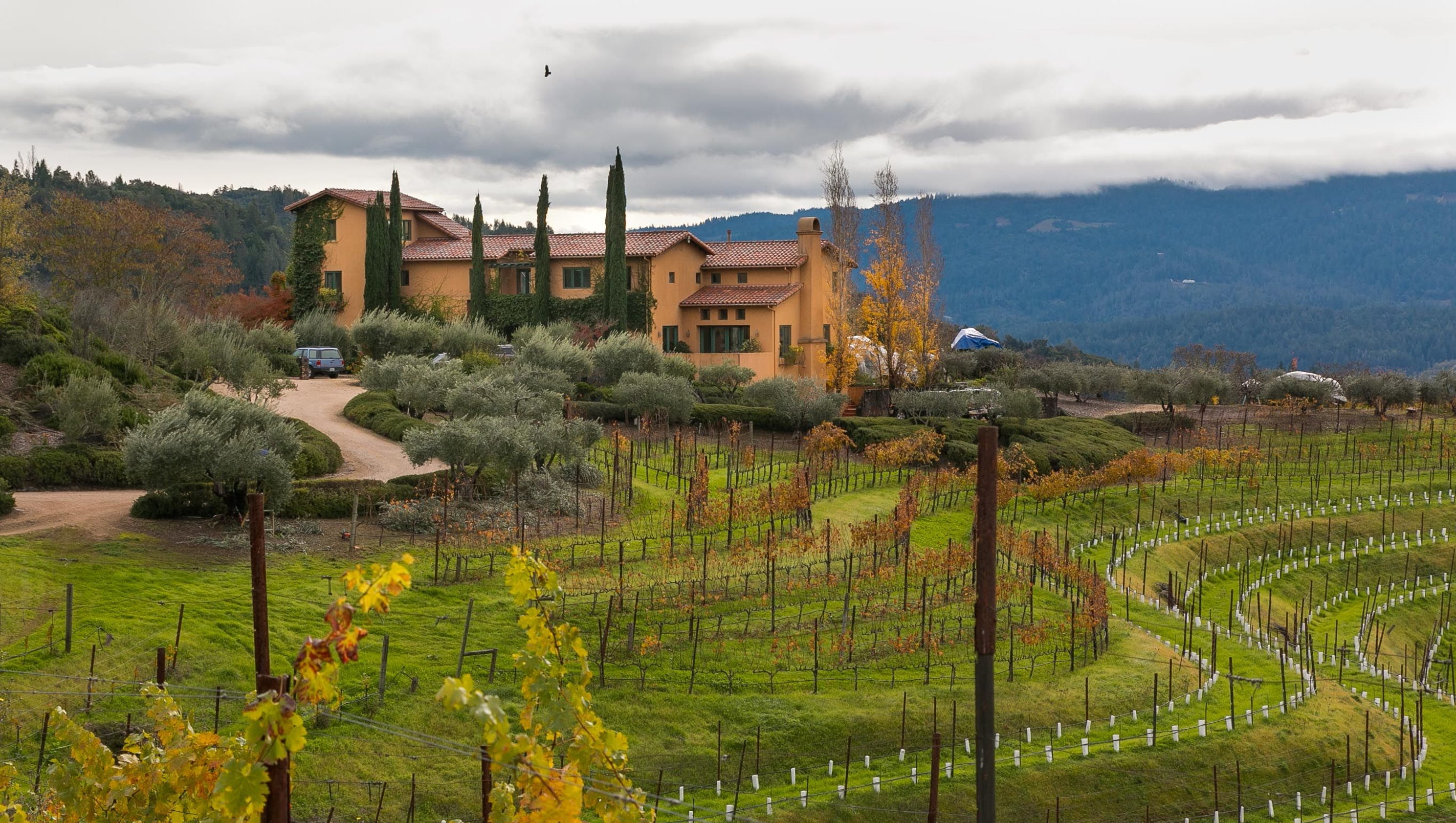 Travelworthy wineries in Calistoga, Calif.