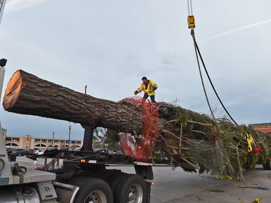 Reno casino's tallest Christmas tree cut down by LA outlet mall