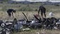 Australian experts inspect the Malaysia Airlines Flight 17 wreckage.