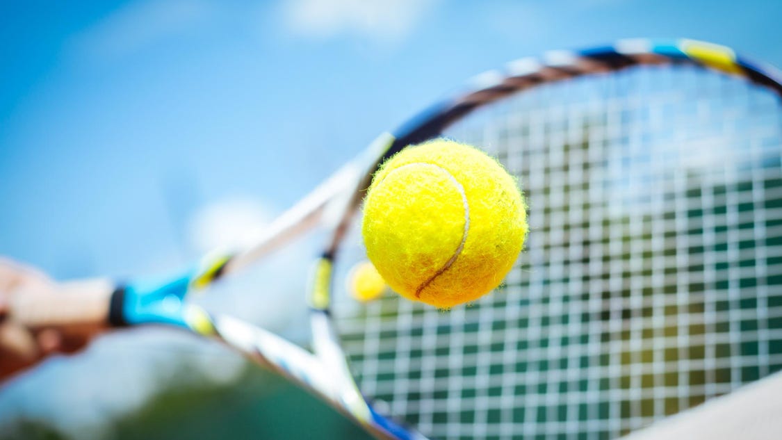 Pacelli falls to Edgewood in state team tennis semis - Stevens Point Journal