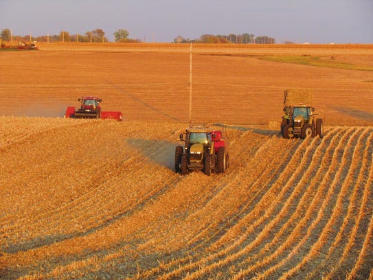 Stover is harvested in an Iowa corn field in these